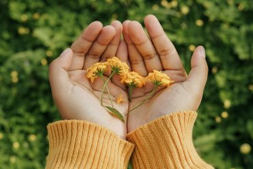 ¿Meditación o Mindfulness?